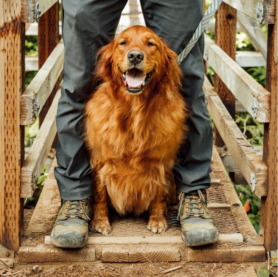 Keen Magnet-sort Herre Ridge Flex Vandtæt Støvle