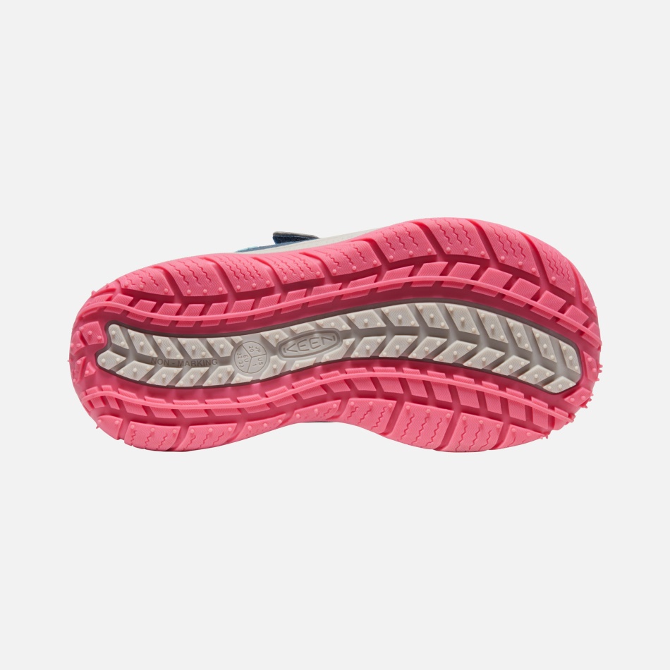 Blåvinget Teal-fruit Due Ivrig Store Børns Farthund