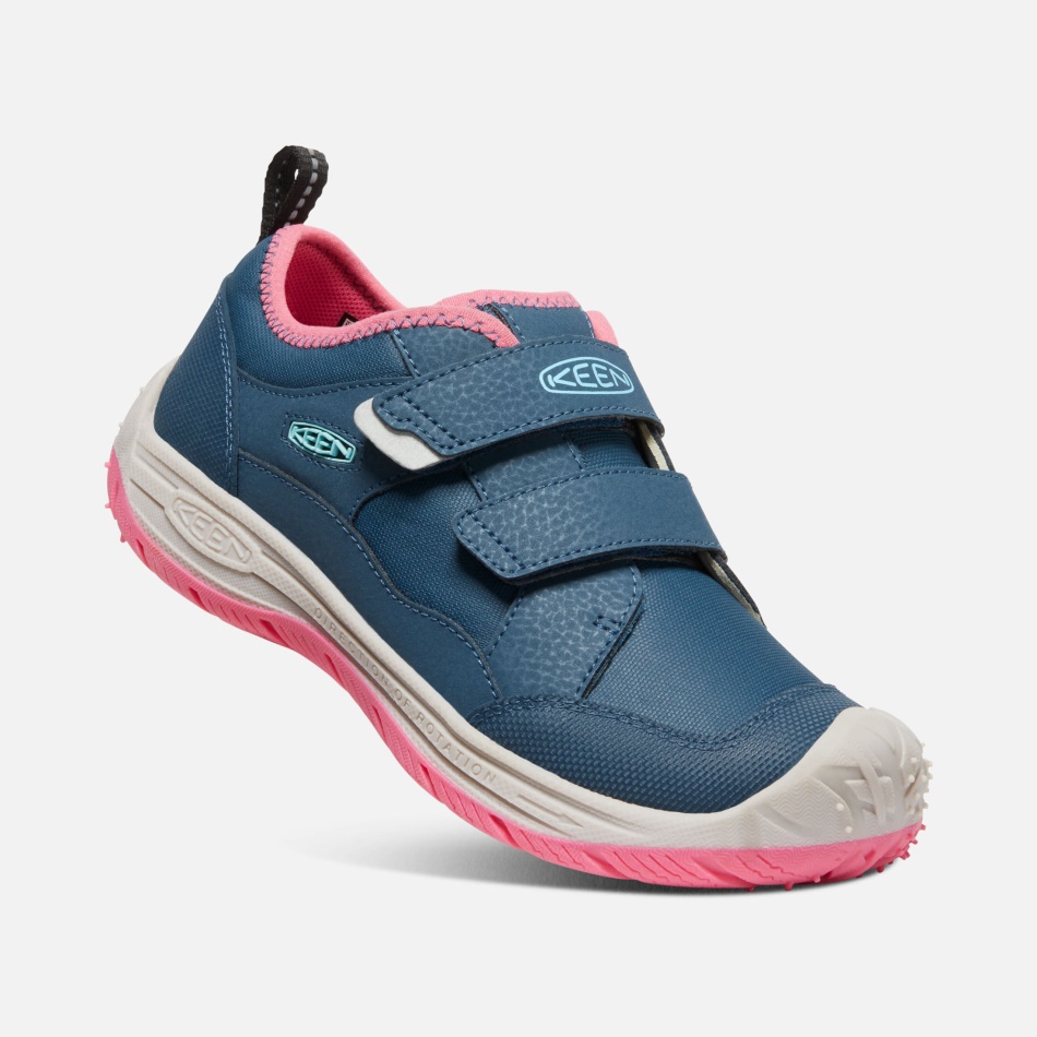 Blåvinget Teal-fruit Due Ivrig Store Børns Farthund