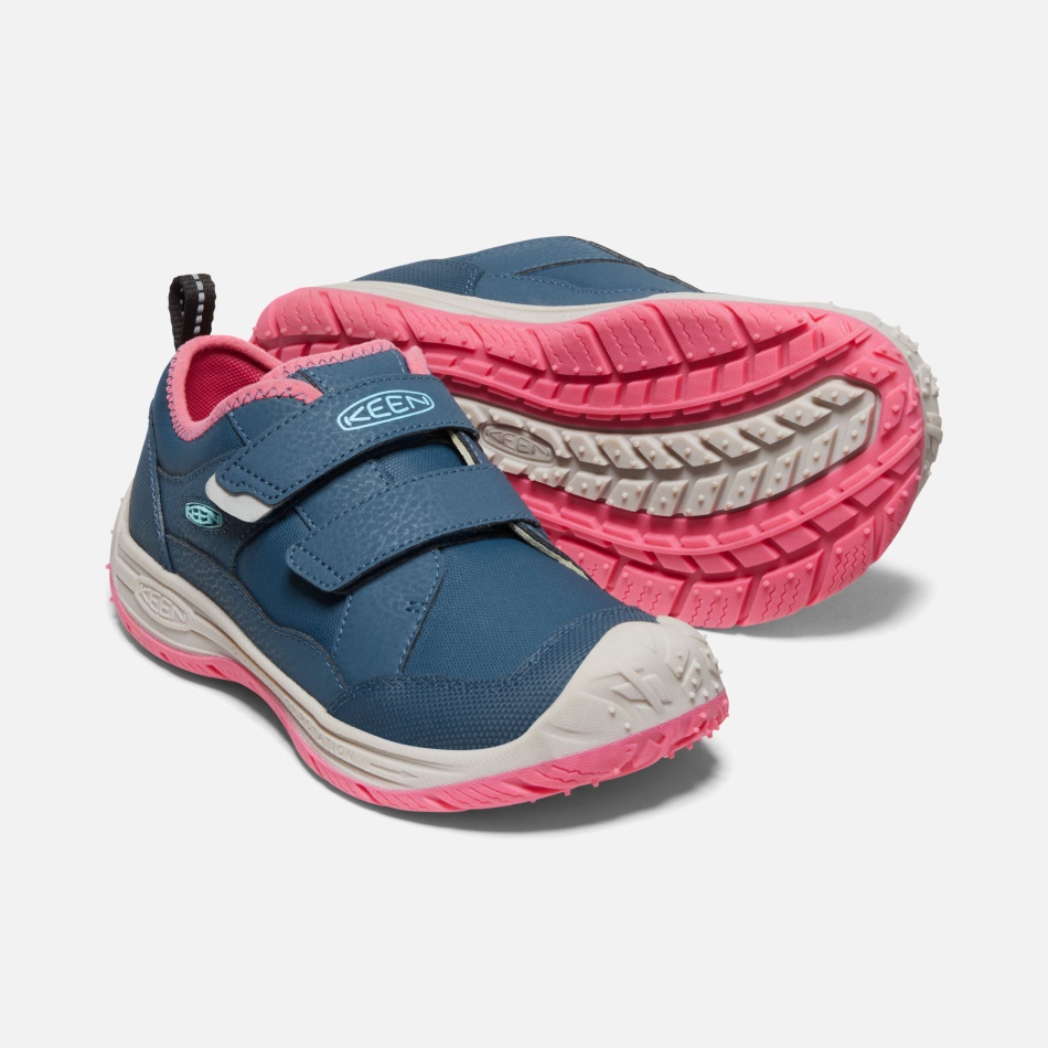 Blåvinget Teal-fruit Due Ivrig Store Børns Farthund