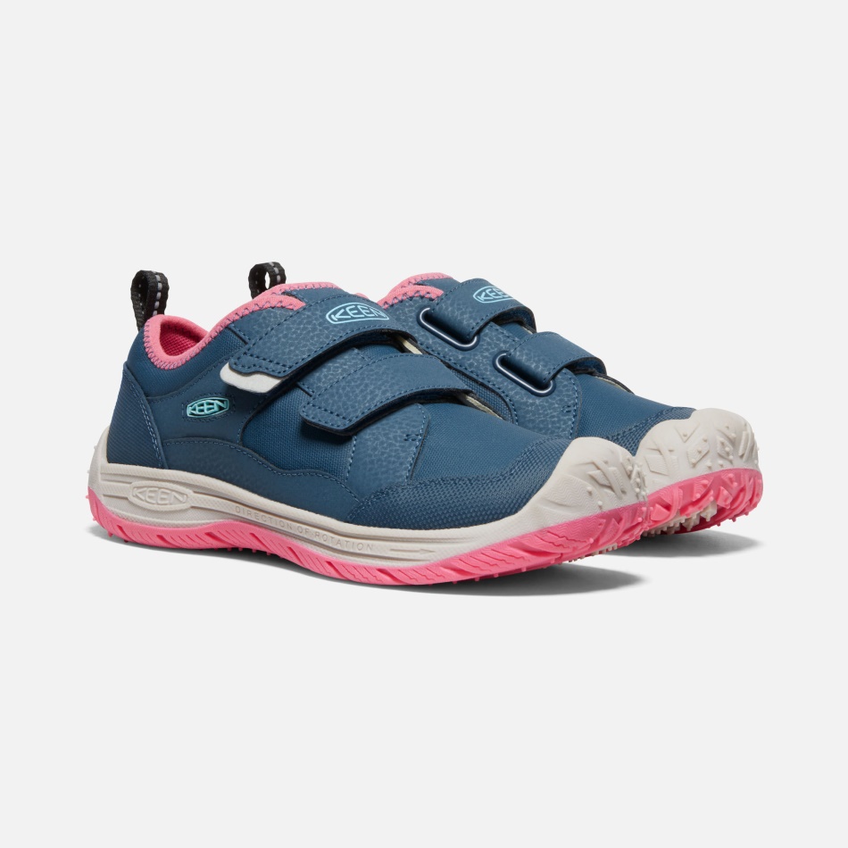 Blåvinget Teal-fruit Due Ivrig Store Børns Farthund