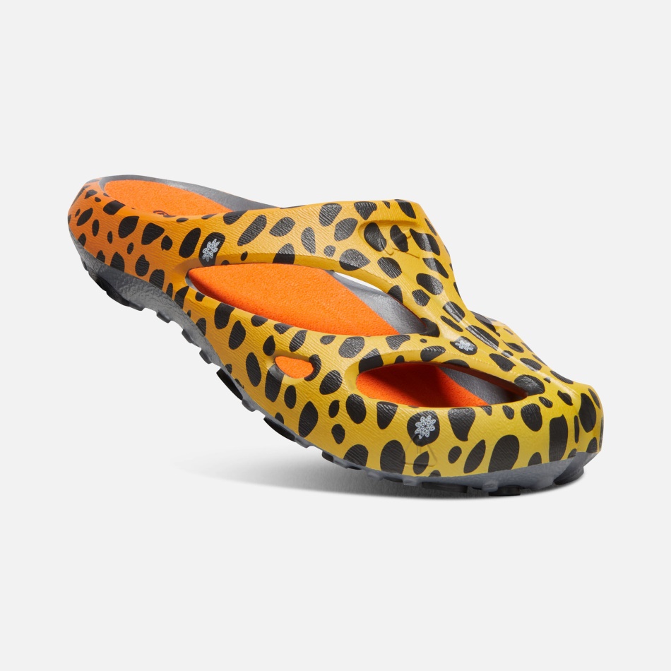 Thc Cheetah Rainbow Mænds Shanti Arts Keen
