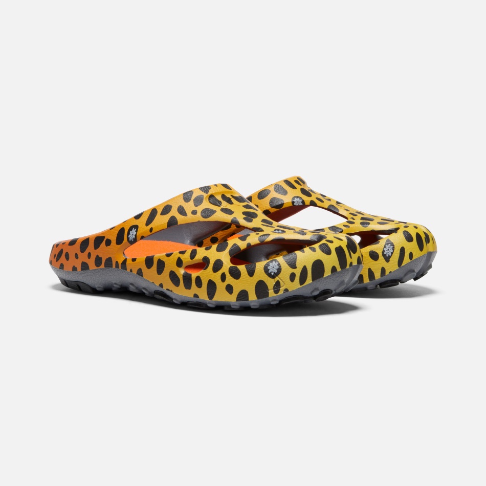 Thc Cheetah Rainbow Mænds Shanti Arts Keen