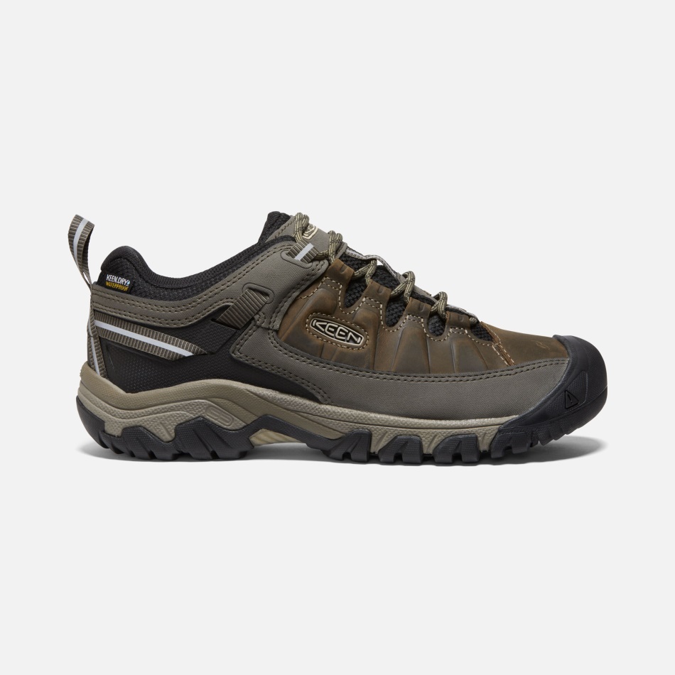 Keen Bungee Cord-sort Herre Targhee Iii Vandtæt Bred