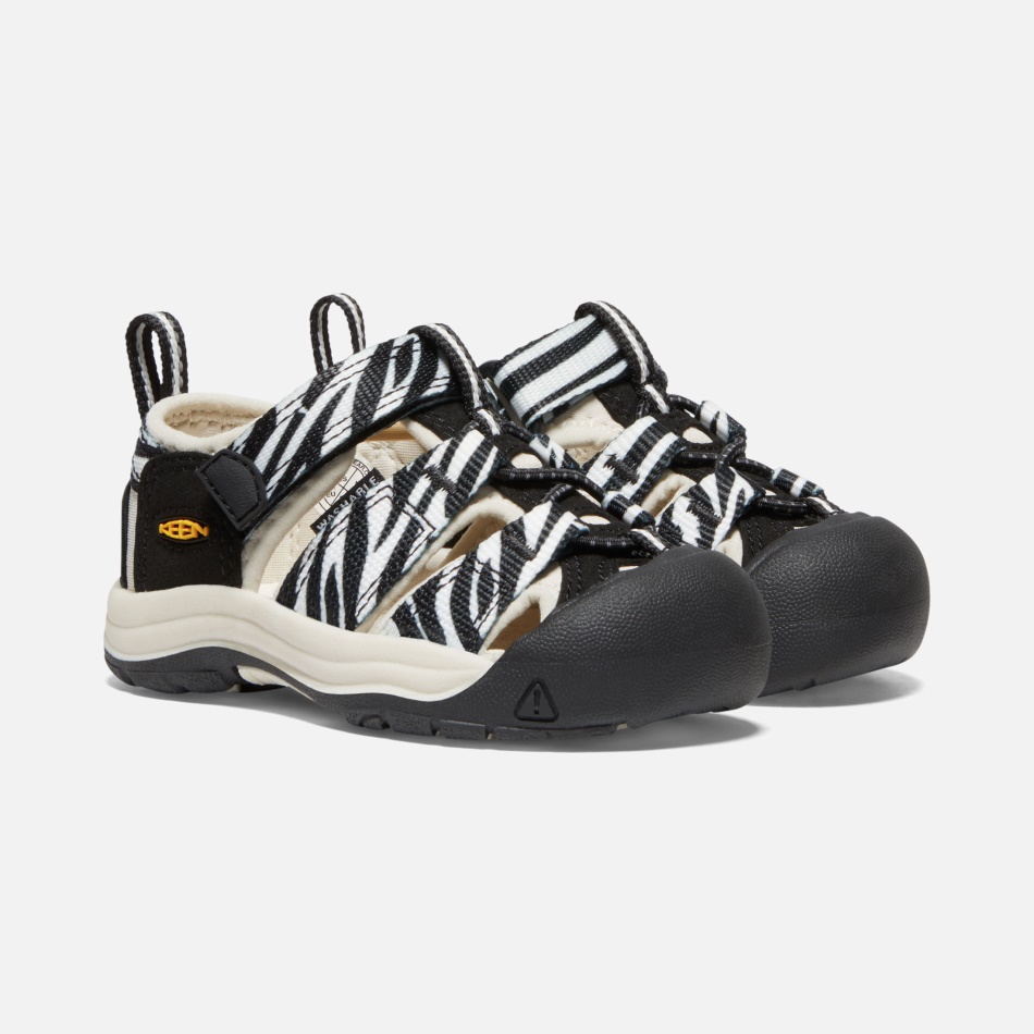 Atms Zebra Star Ivrige Småbørns Newport H2