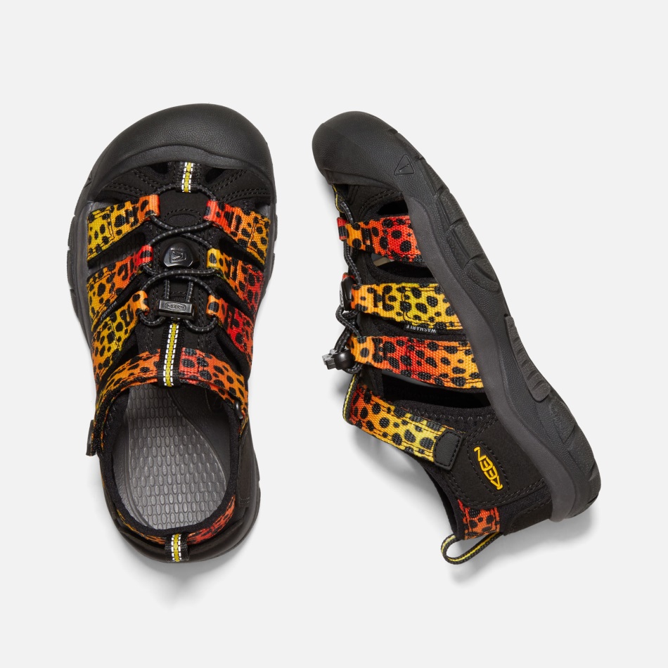 Cheetah Rainbow Store Børns Newport H2 Keen