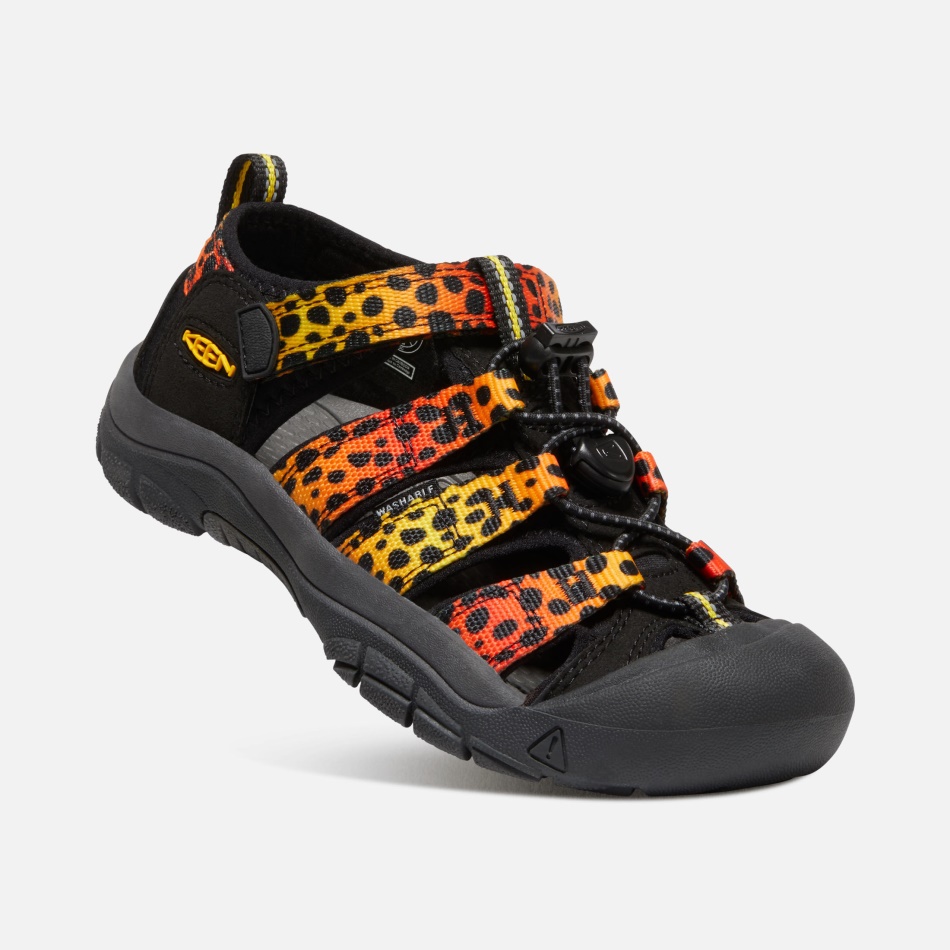 Cheetah Rainbow Store Børns Newport H2 Keen