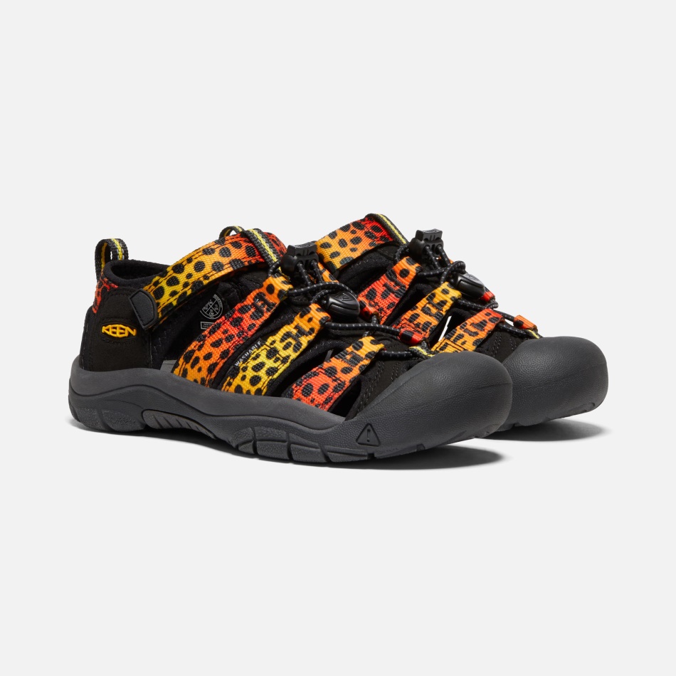 Cheetah Rainbow Store Børns Newport H2 Keen