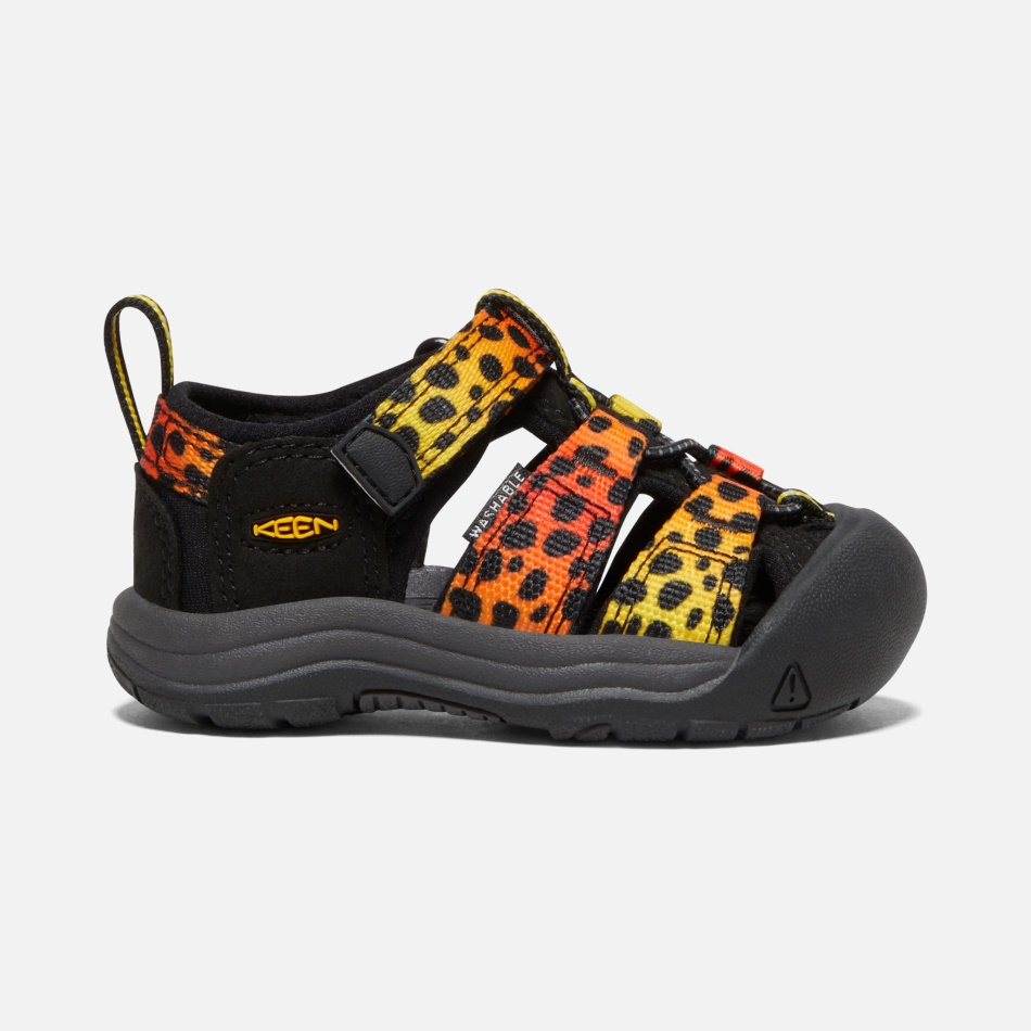 Cheetah Rainbow Ivrige Småbørns Newport H2