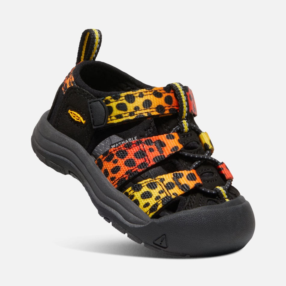 Cheetah Rainbow Ivrige Småbørns Newport H2