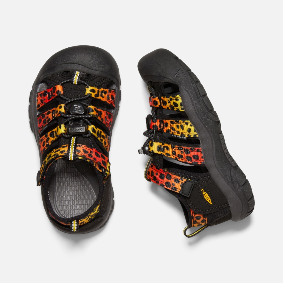 Keen Cheetah Rainbow Små Børns Newport H2