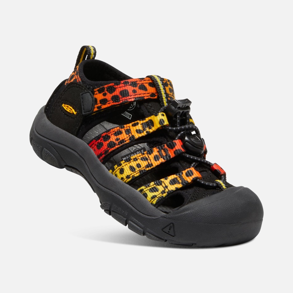 Keen Cheetah Rainbow Små Børns Newport H2