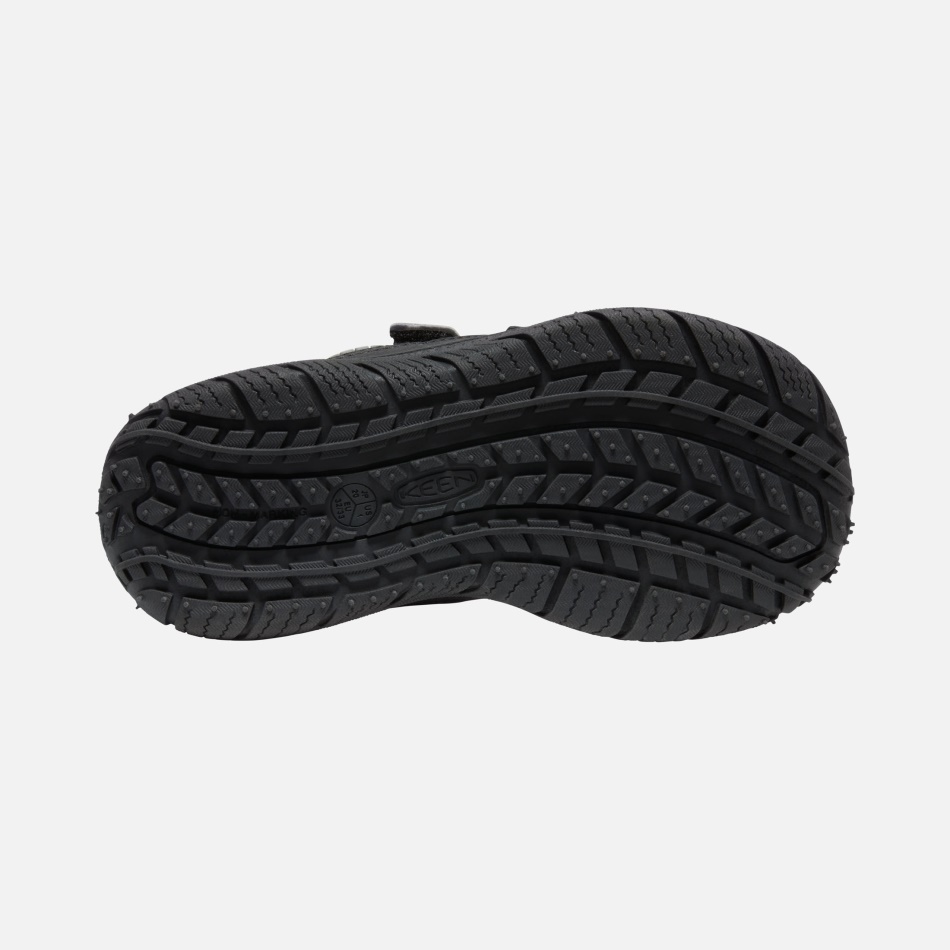 Ivrig Sort-sølv Store Børns Farthund